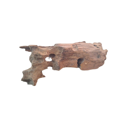 Legno Driftwood