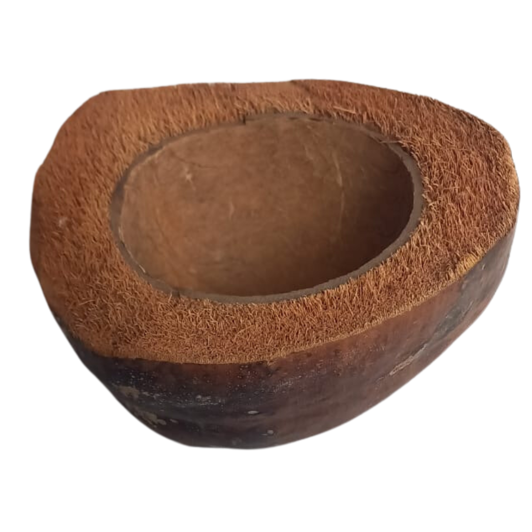 Cuenco de coco natural