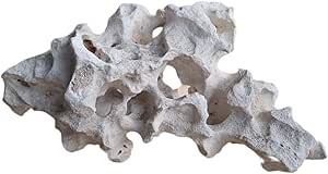 Roca de piedra hueca para cíclidos