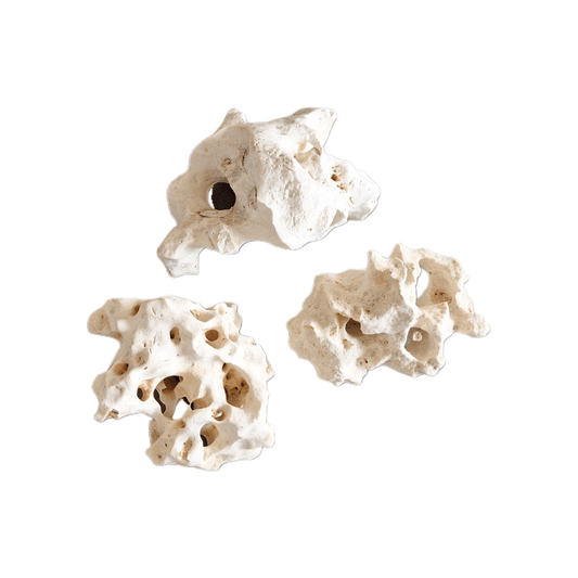 Hole stone Grade A - Natural Deco B2C